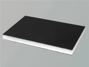 Polypropylene Honeycomb Core Frp Paneli